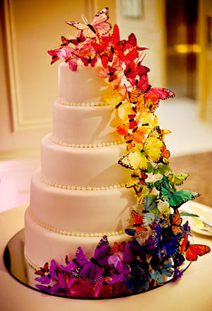 Download Rainbow Butterfly Cake